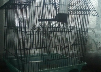 Клетки