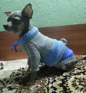 Худи для собаки, кошки