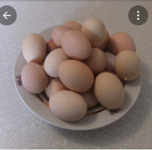 Яйцо куриное