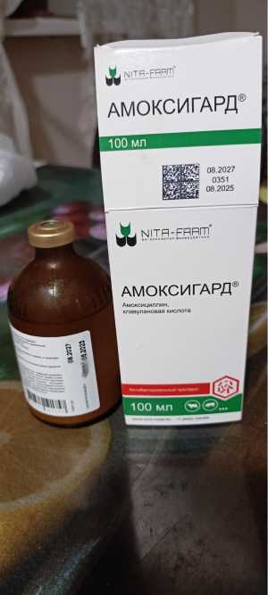 Товары